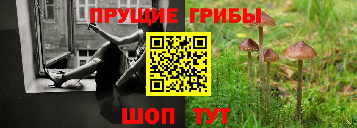 Галлюциногенные грибы Magic Shrooms Северодвинск